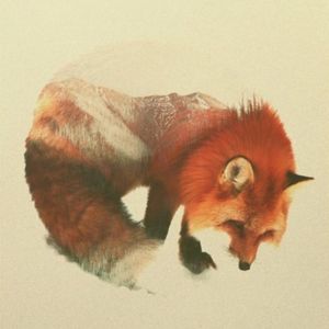 Snow Fox Tapestry: Society6